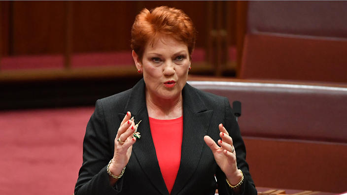 Dear  Pauline Hanson: Autistic children are not the flaw in our education system.